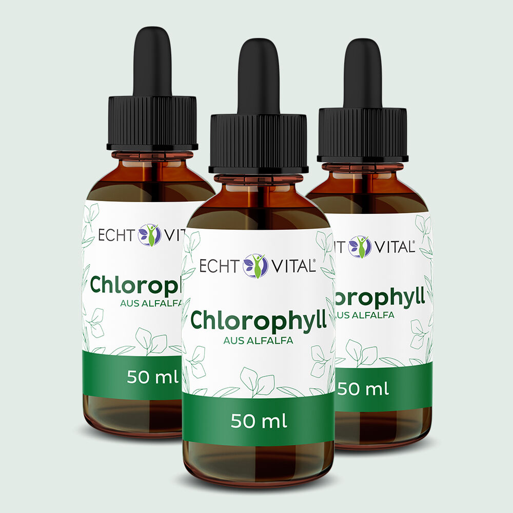 Chlorophyll Tropfen aus Alfalfa - 3 Flaschen mit je 50 ml